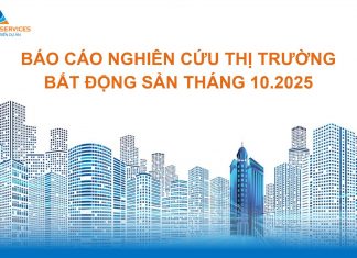 BÁO CÁO NGHIÊN CỨU THỊ TRƯỜNG T10.2025